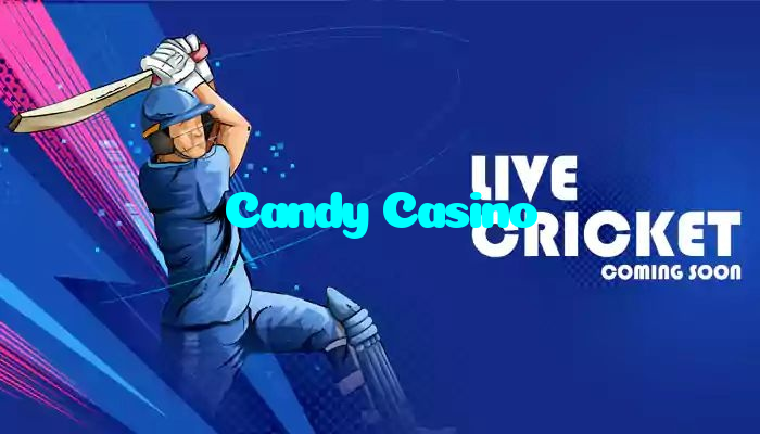 available types of Candy Casino bet including pre-match live express and system bets